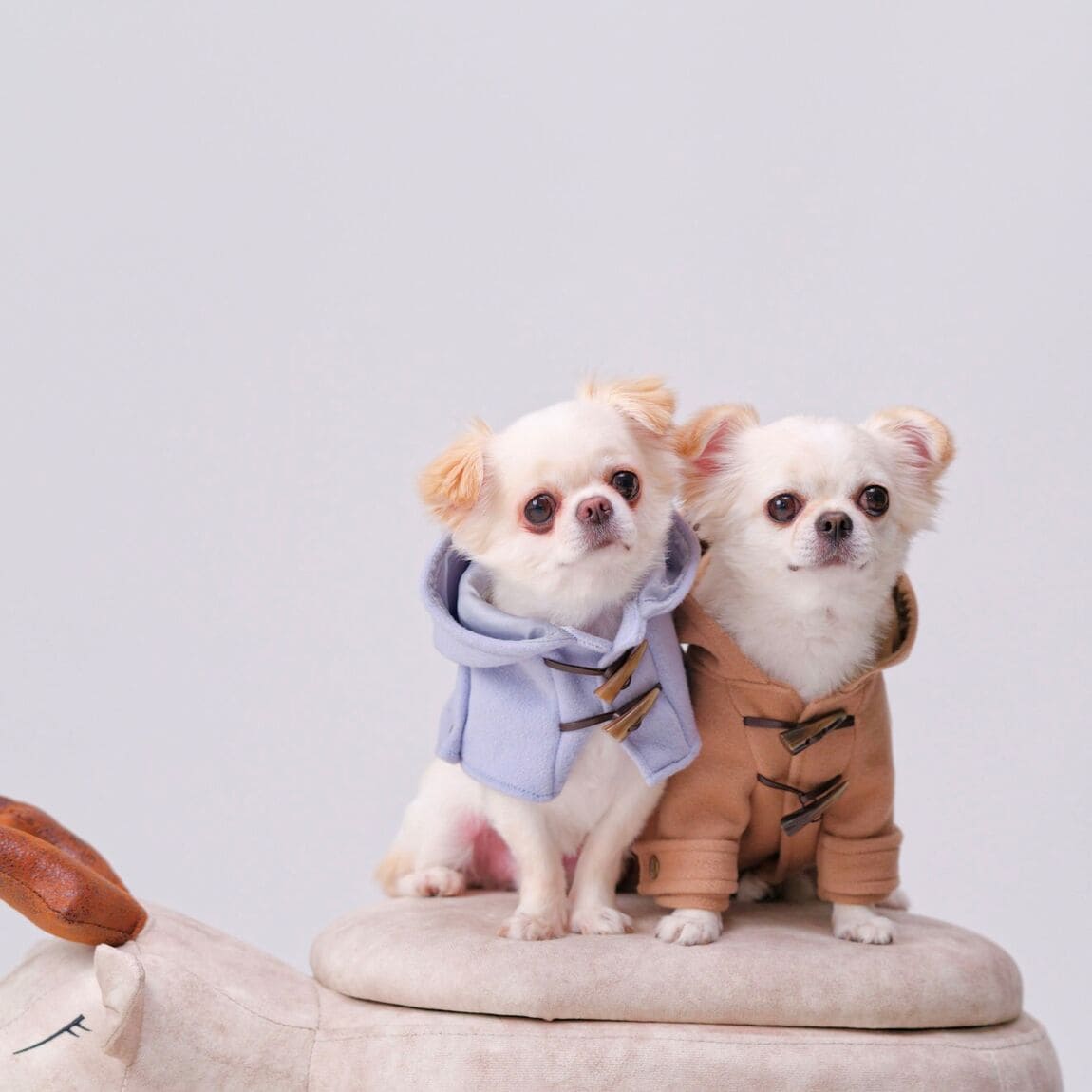 ピンキー様♡プリーツシフォン♡ワンピース♡ハンドメイド♡犬服♡オーダー♡ ピンキー様♡プリーツシフォン♡ワンピース♡ハンドメイド♡犬服